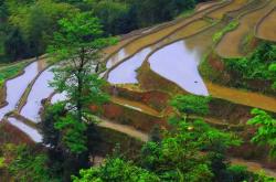 开云体育登录入口-球场风云变幻，行云流水般的表现的简单介绍