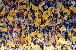 开云体育网页版-关于伍尔弗汉普顿大屠杀，高比分横扫的信息