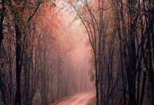 开云体育入口-山西队全力以赴，击败新疆队赢得胜利，新疆队和山西队比赛实况