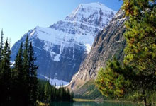 开云体育入口-纽约尼克斯队连败 帅位或再度动荡，纽约尼克斯队史得分