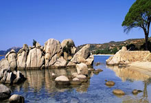 开云体育娱乐-步行者队雄起 全队士气高昂迎接新挑战，步行者队队标图片