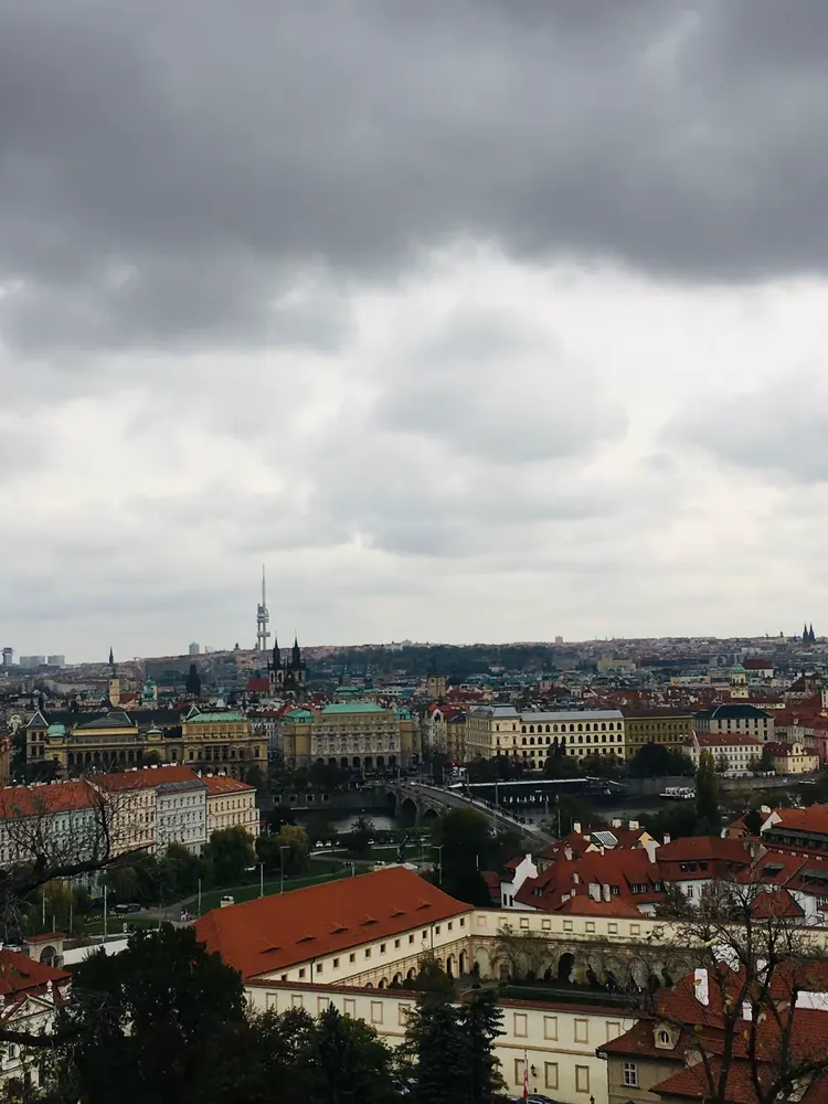 捷克代表团队员争先恐后,一路领跑 捷克代表团队员争先恐后,一路领跑