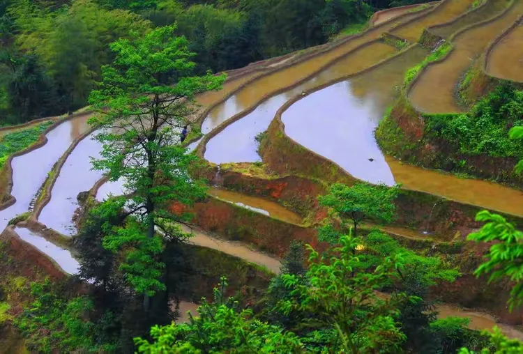 球场风云变幻，行云流水般的表现的简单介绍